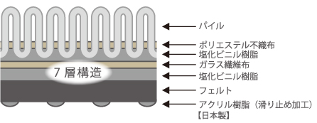 構造と機能